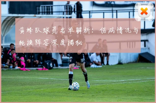 黄蜂队球员名单解析：伤病情况与轮换阵容深度揭秘
