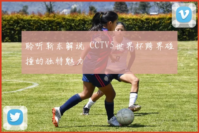 聆听靳东解说 CCTV5世界杯跨界碰撞的独特魅力