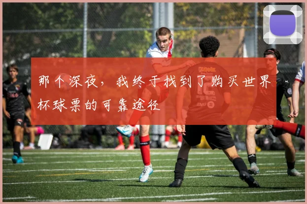 那个深夜，我终于找到了购买世界杯球票的可靠途径