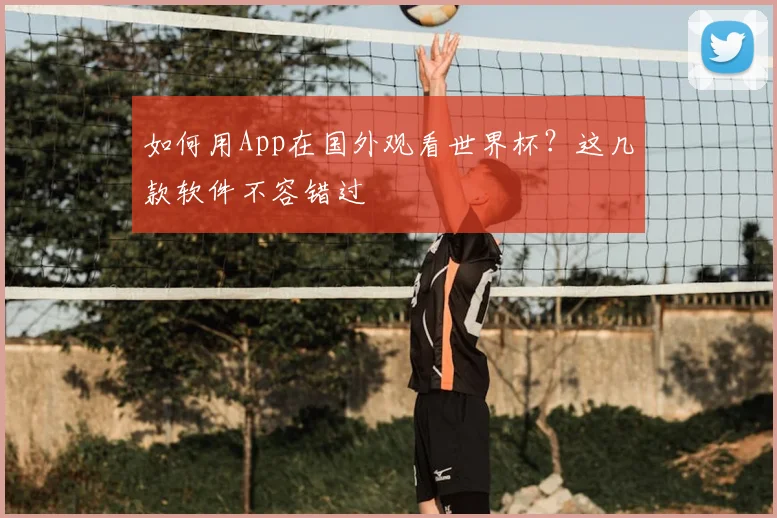 如何用App在国外观看世界杯?这几款软件不容错过