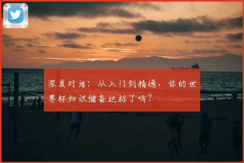 深度对话：从入门到精通，你的世界杯知识储备达标了吗？