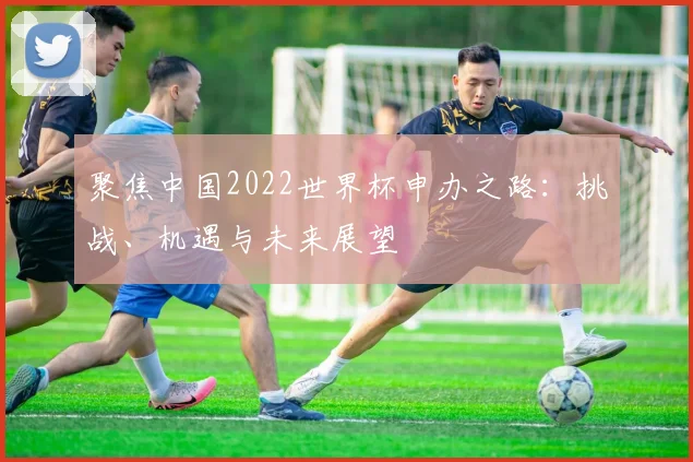 聚焦中国2022世界杯申办之路：挑战、机遇与未来展望