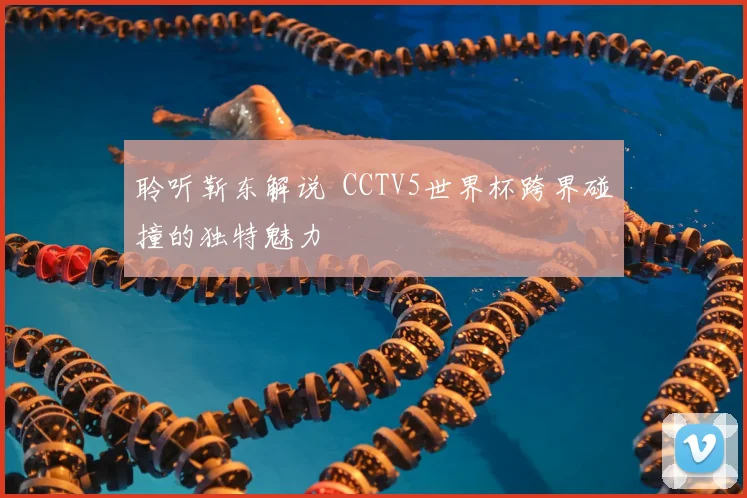 聆听靳东解说 CCTV5世界杯跨界碰撞的独特魅力