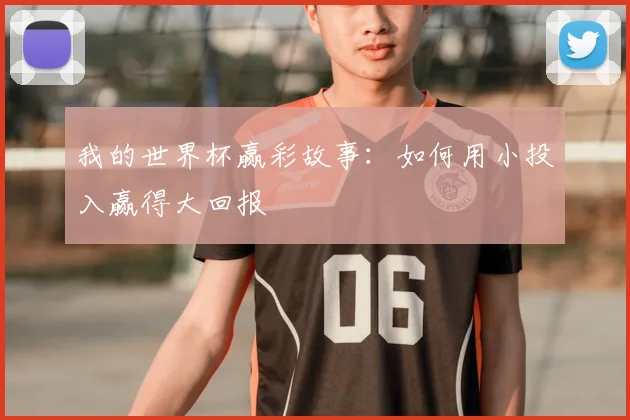 我的世界杯赢彩故事:如何用小投入赢得大回报