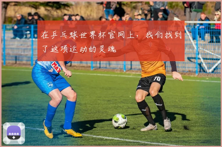 在乒乓球世界杯官网上，我们找到了这项运动的灵魂