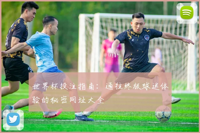 世界杯投注指南：通往终极球迷体验的秘密网址大全
