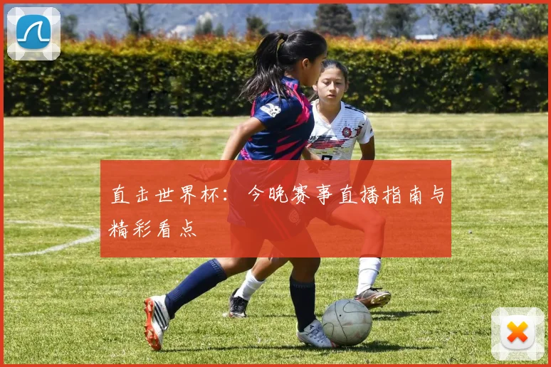 直击世界杯：今晚赛事直播指南与精彩看点