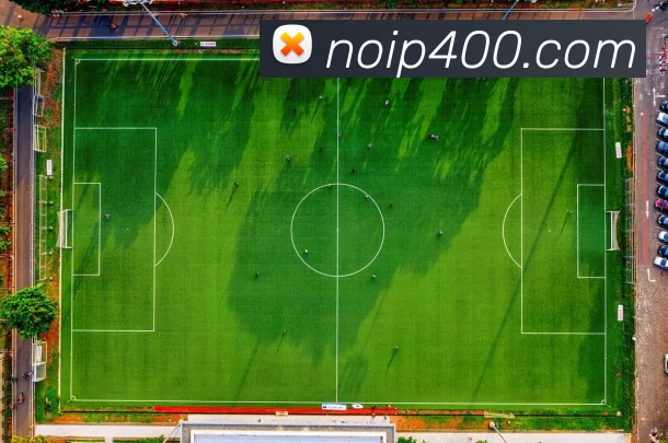 beat365唯一官网平台生态图