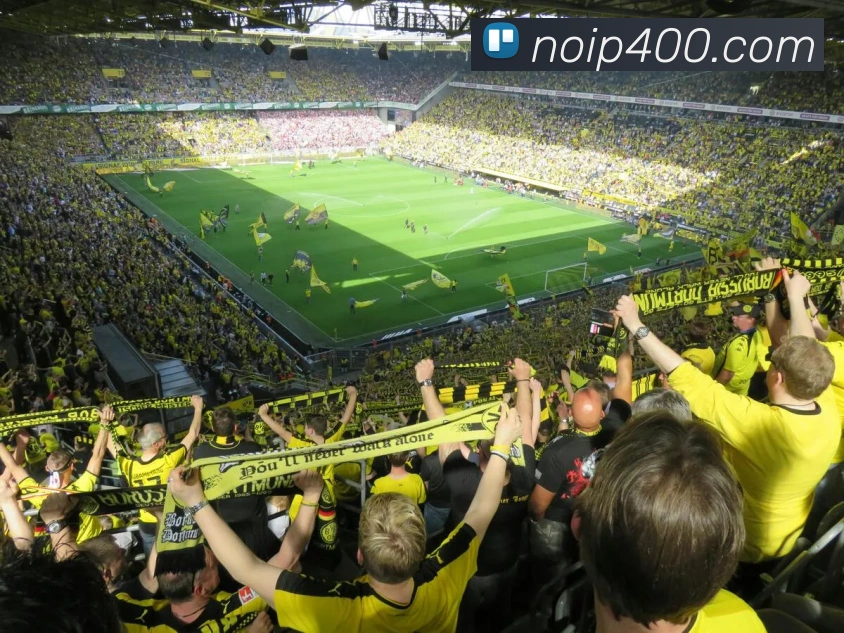 beat365唯一官网APP 封面图