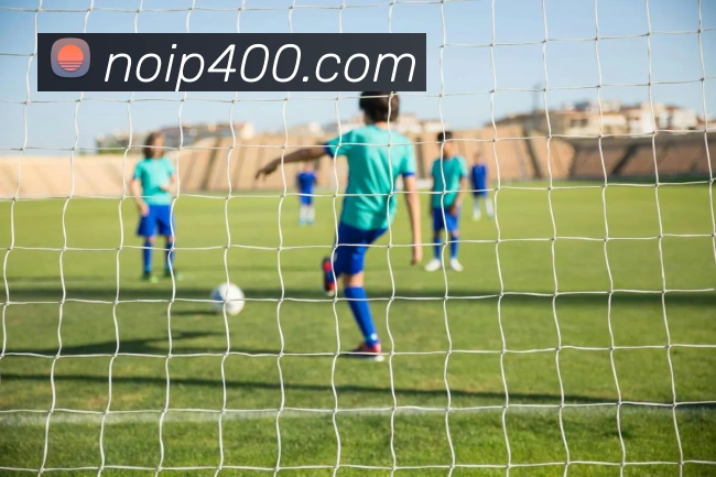 奖项证书